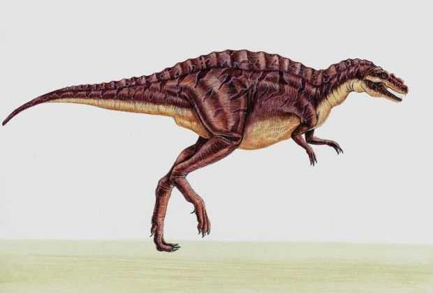 Spinosaurus 2